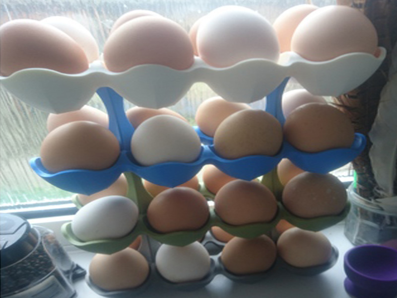 可堆叠鸡蛋架