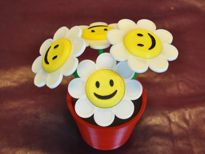 笑脸鲜花和花盆