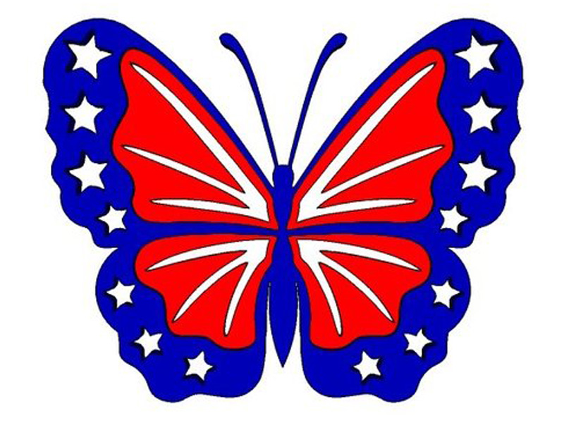 美国独立日蝴蝶